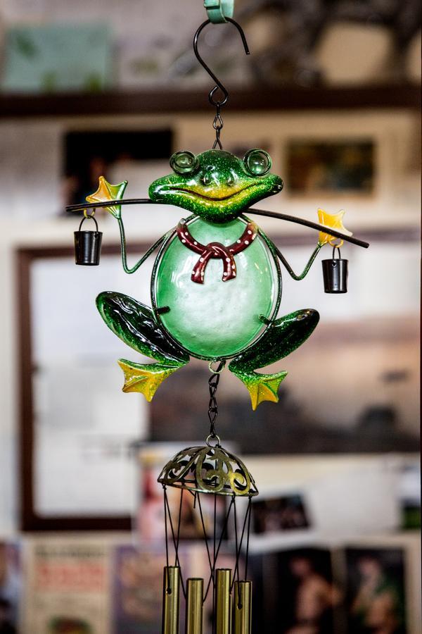 The Pickled Frog Hostel Χόμπαρτ Εξωτερικό φωτογραφία